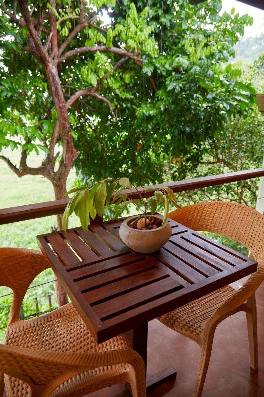 Green View Homestay Galle Exterior foto